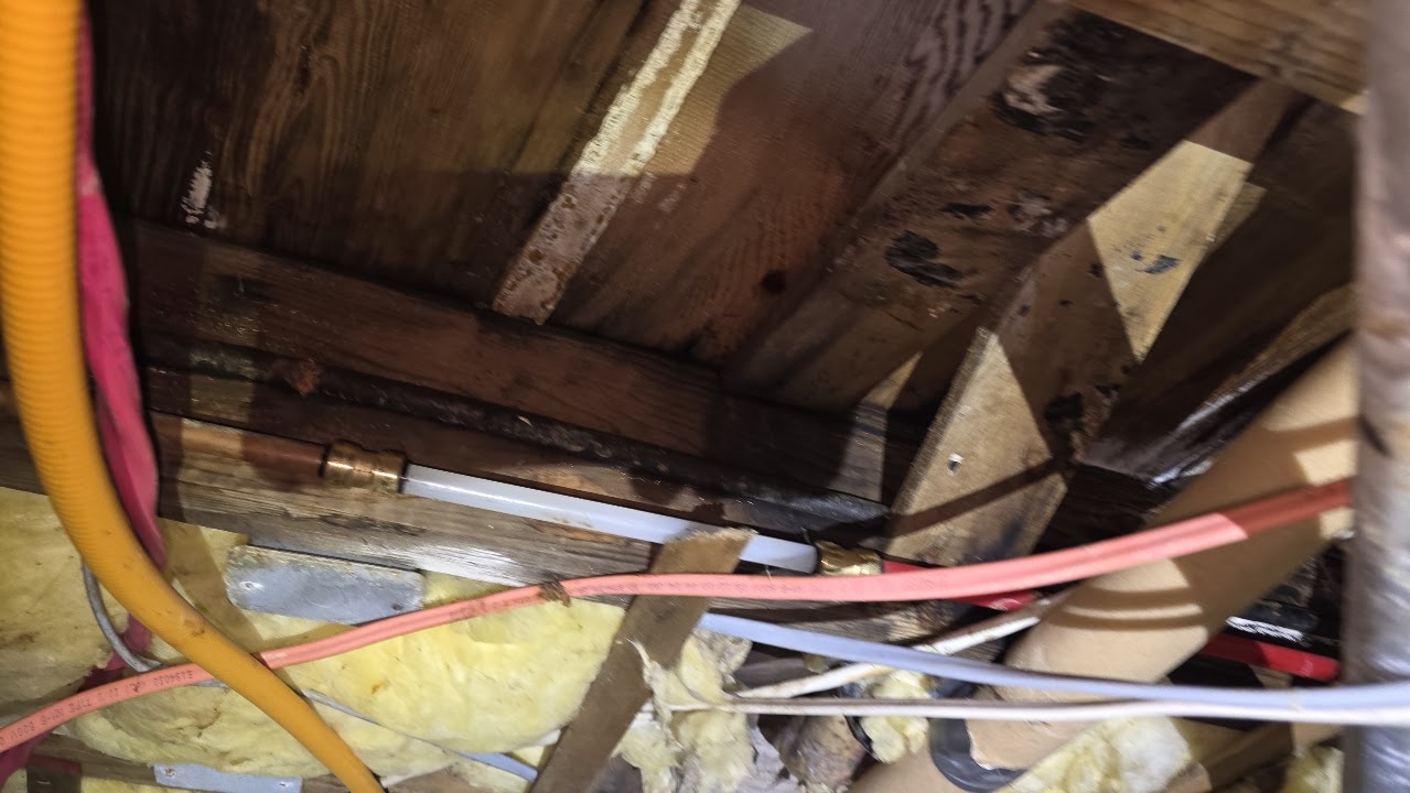 Crawlspace floor framing, plumbing and insulation